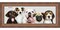 8x24 Museum-Quality Picture Frame with UV-Resistant Acrylic & Acid-Free Backing, Available in 4 Finishes - Gold, Silver, Bronze, and Black
